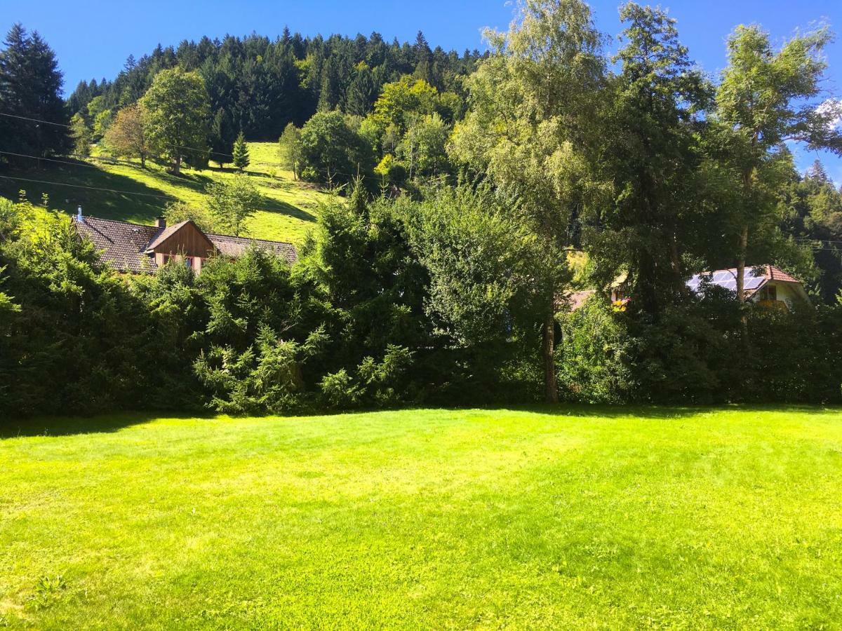Apartment Mit Dem Roten Baum
