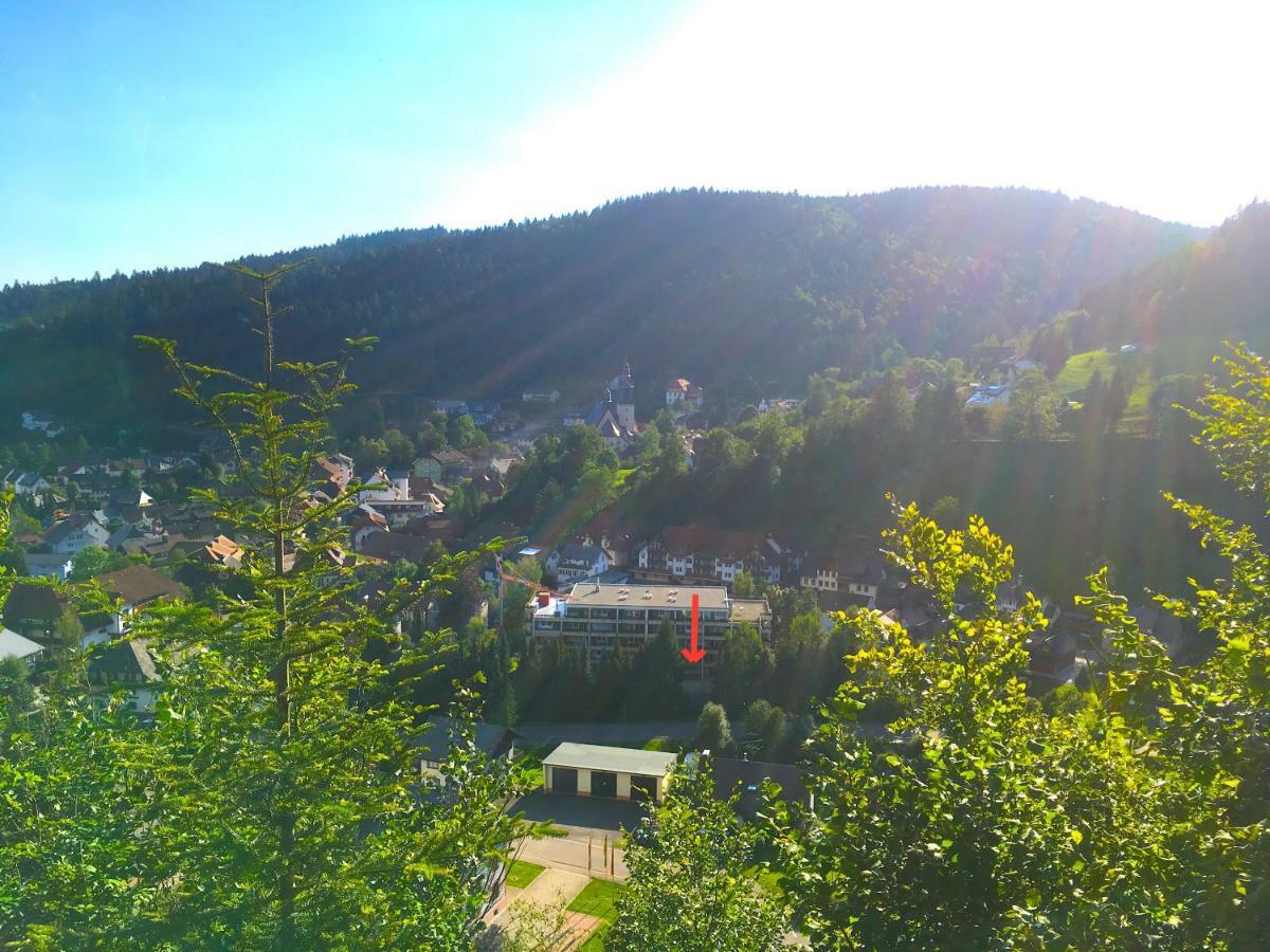 Mit Dem Roten Baum Apartment Todtmoos